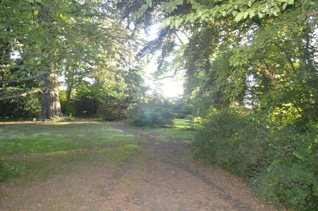 La Gentilhommiere Du Chateau De Ragnies Eksteriør billede
